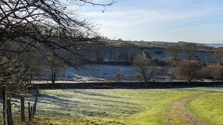 Fields and trees covered in frost with low winter sunlight